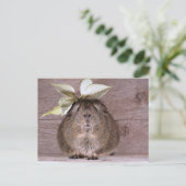 Guinese varken briefkaart (Staand voorkant)