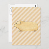 Guinese varken. briefkaart (Voorkant / Achterkant)