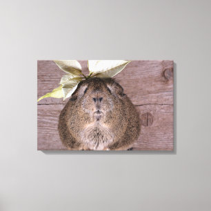 Guinese varken canvas afdruk