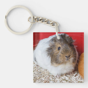 Guinese varken in een kooi sleutelhanger