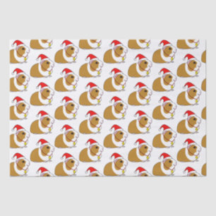 Guinese varken in een Santa Hat met Kerstmis Tissuepapier