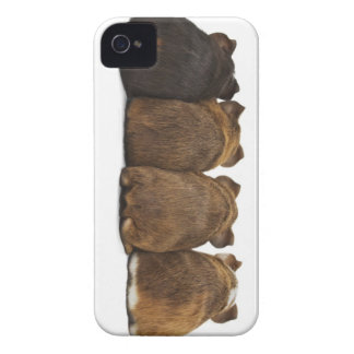 Guinese varken Iphone4-hoesje iPhone 4 Hoesje