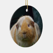 Guinese varken keramisch ornament (Rechts)