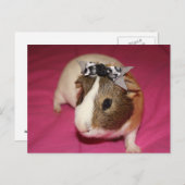 Guinese varken met BOW 2 Briefkaart (Voorkant / Achterkant)