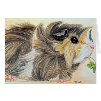 Guinese varken met sprig