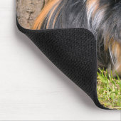 Guinese varken muismat (Hoek)