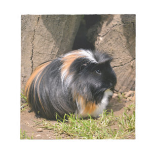 Guinese varken notitieblok