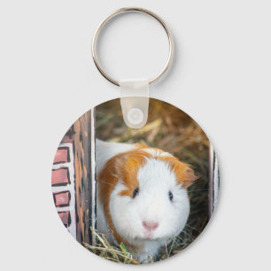 Guinese varken sleutelhanger