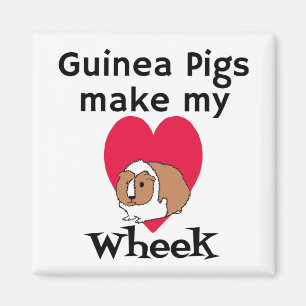 Guinese varkens maken van mijn hartwieg magneet