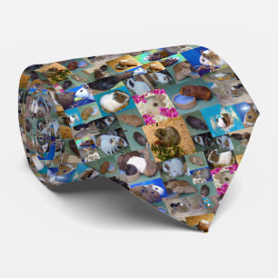 Guinese varkensfoto collage, Necktie Stropdas