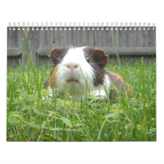 Guinese varkenskalander kalender