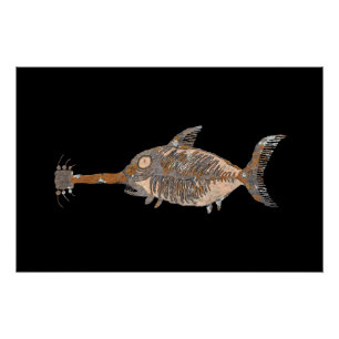 Guitar Shark Talking Canyons, New Mexico Perfect Poster