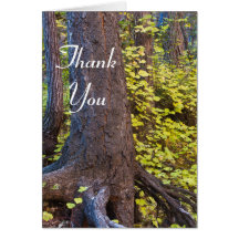 Gulden bladeren op de westvorkstrook. Met vriendel