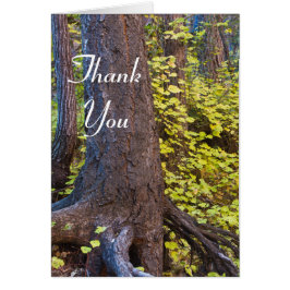 Gulden bladeren op de westvorkstrook. Met vriendel