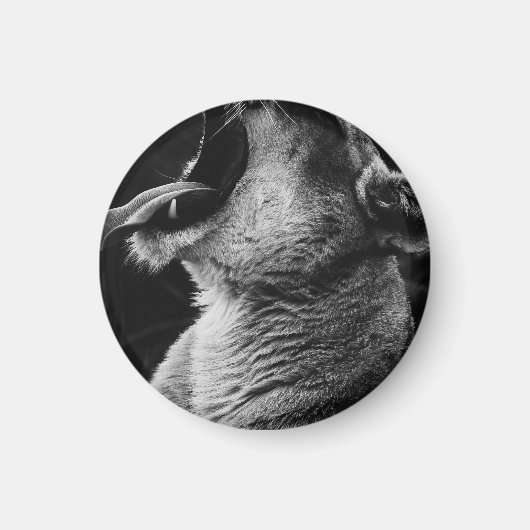 gulden magneet (Voorkant)