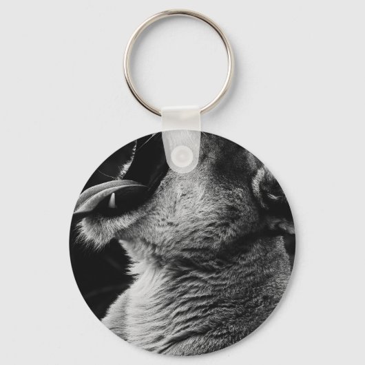 gulden sleutelhanger (Voorkant)