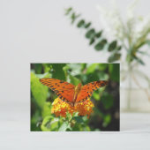 Gulf Fritillary Butterfly Briefkaart (Staand voorkant)