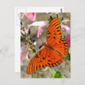 Gulf Fritillary Butterfly Briefkaart (Voorkant / Achterkant)