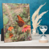 Gulf Fritillary on Zinnia Fotoplaat (Zijkant)
