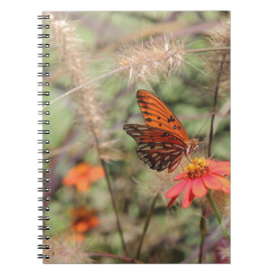 Gulf Fritillary on Zinnia Notitieboek