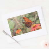 Gulf Fritillary on Zinnia Rechthoekige Sticker (Envelop)