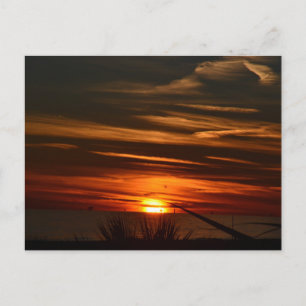 Gulf Shores Plantation Briefkaart