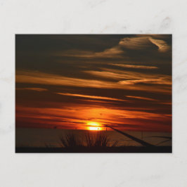 Gulf Shores Plantation Briefkaart