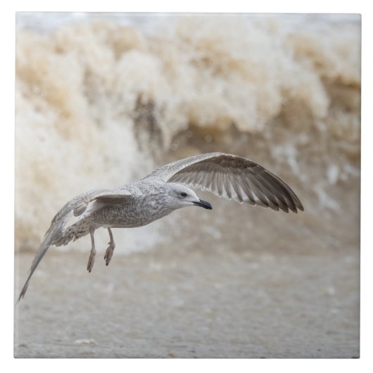 Gull Bird Flying Tegeltje (Voorkant)