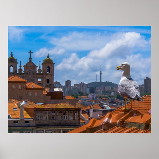 Gull Birds Eye Uitzicht Rooftops uit Portugal Poster (Voorkant)