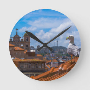 Gull Birds Eye Uitzicht Rooftops uit Portugal Ronde Klok