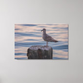 Gull in Dusk Canvas Afdruk (Voorkant)