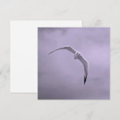 Gull in flight black and white feestdagenkaart (Voorkant / Achterkant)