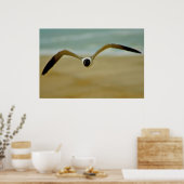 Gull komt naar me toe poster (Keuken)