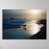 Gull Poster (Voorkant)