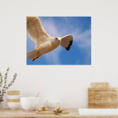Gull Poster (Keuken)