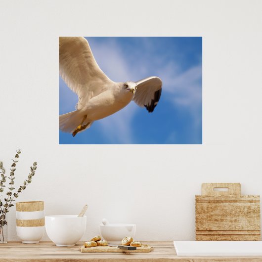 Gull Poster (Keuken)