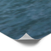 Gull Poster (Hoek)
