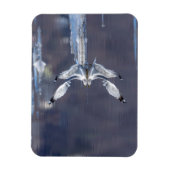 Gull Reflections Magneet (Verticaal)