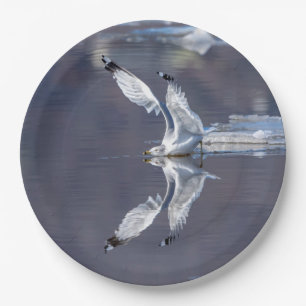 Gull Reflections Papieren Bordje