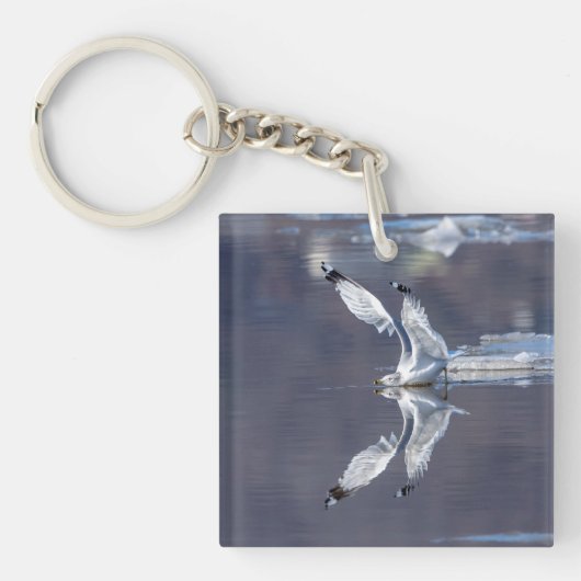 Gull Reflections Sleutelhanger (Voorkant)