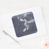 Gull Reflections Vierkante Sticker (Envelop)