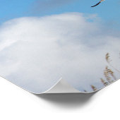 Gull Trio 2 Poster (Hoek)