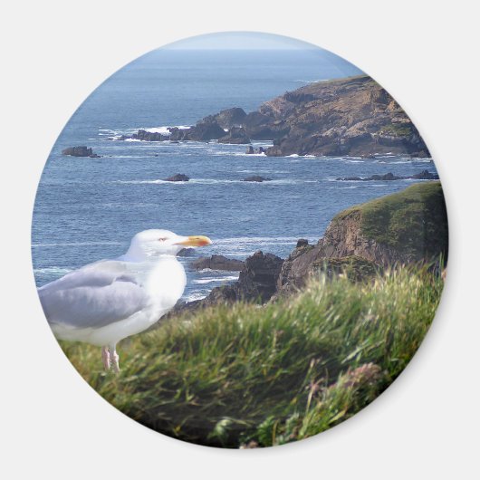 GullCoast Magneet (Voorkant)