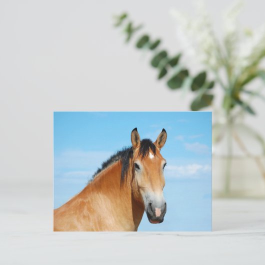 Gulliver Headshot Briefkaart (Staand voorkant)