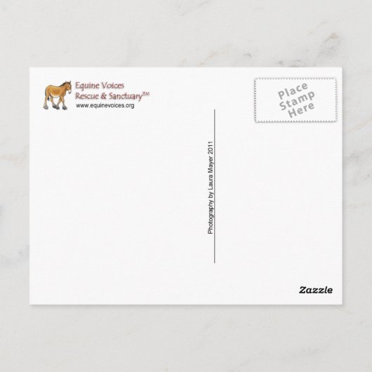 Gulliver Headshot Briefkaart (Achterkant)