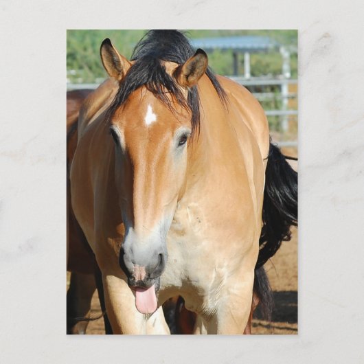 Gulliver Tongue Out Briefkaart (Voorkant)