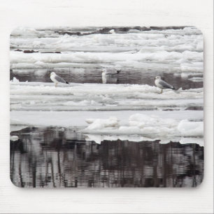 Gulls op ijs muismat