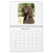 Gundog Briet Kalender (Feb 2027)
