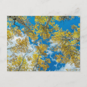 Gunnison National Forest Colorado Briefkaart