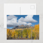 Gunnison National Forest, Colorado Briefkaart (Voorkant / Achterkant)